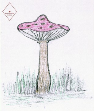 Гъбка